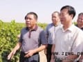 宁夏：世界高端酿酒葡萄的“黄金地带”（图）