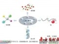 【释疑】螯合：微量元素的高效吸收方式