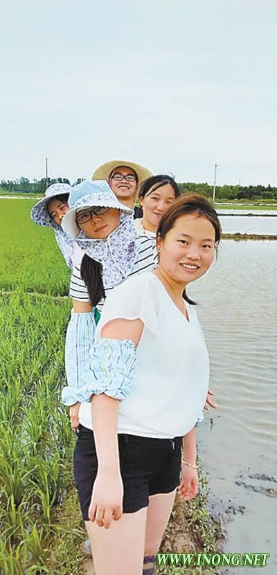 学生们在从事栽培综合实训。