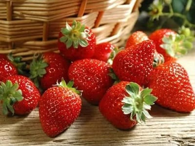 上海：乡村振兴发展从草莓开始